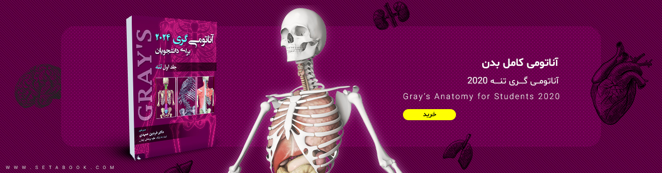 آناتومی گرمی 2024