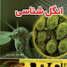 ABS انگل شناسی