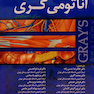 آناتومی گری  اندام  جلد 2 2015  