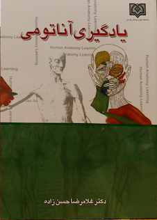 عکس یادگیری آناتومی