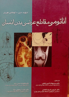 عکس آناتومی مقاطع عرضی بدن انسان