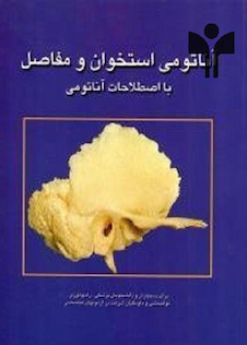 عکس آناتومی استخوان و مفاصل