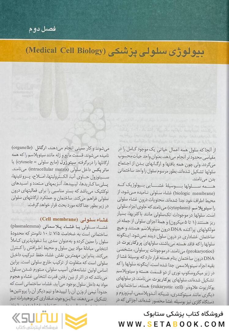 بافت شناسی سلیمانی راد