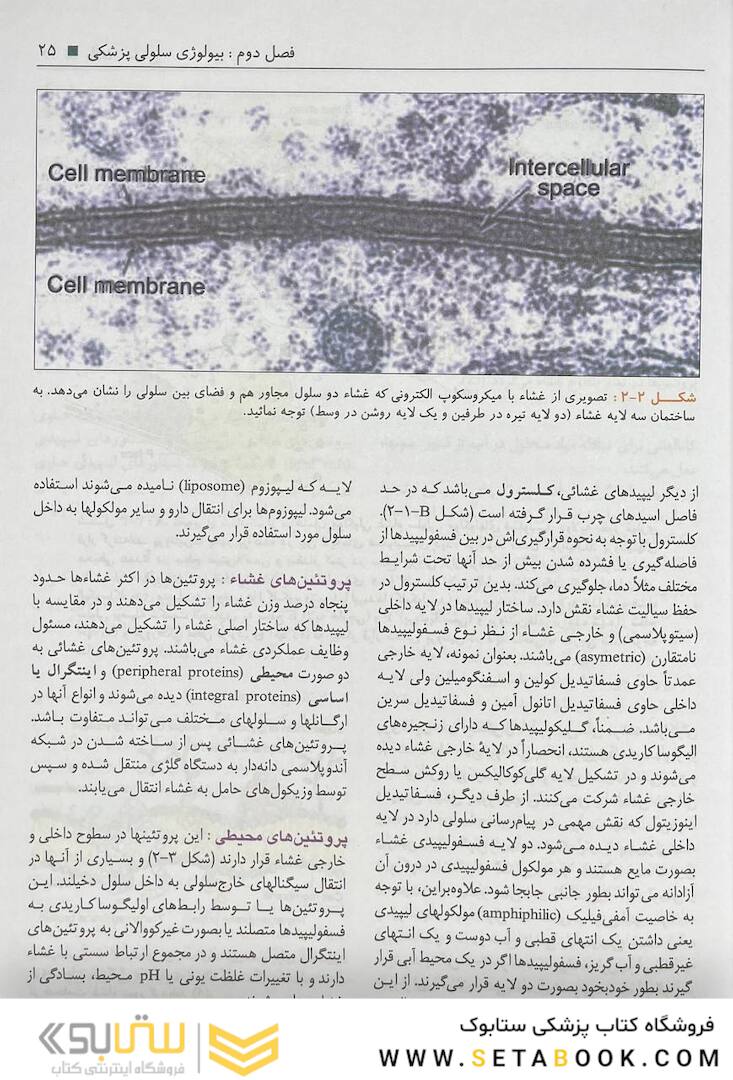 بافت شناسی سلیمانی راد