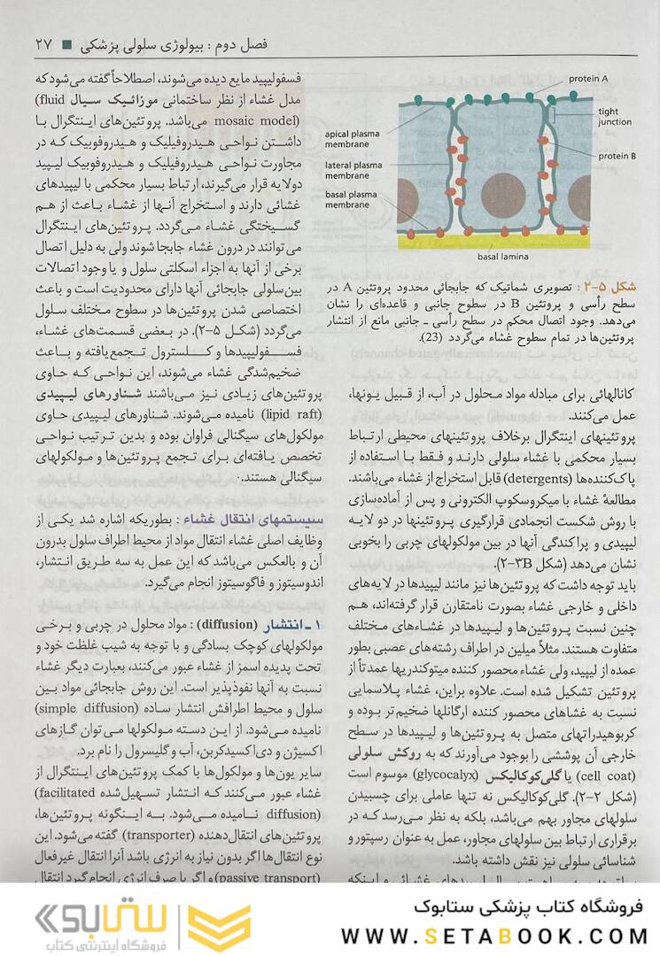بافت شناسی سلیمانی راد