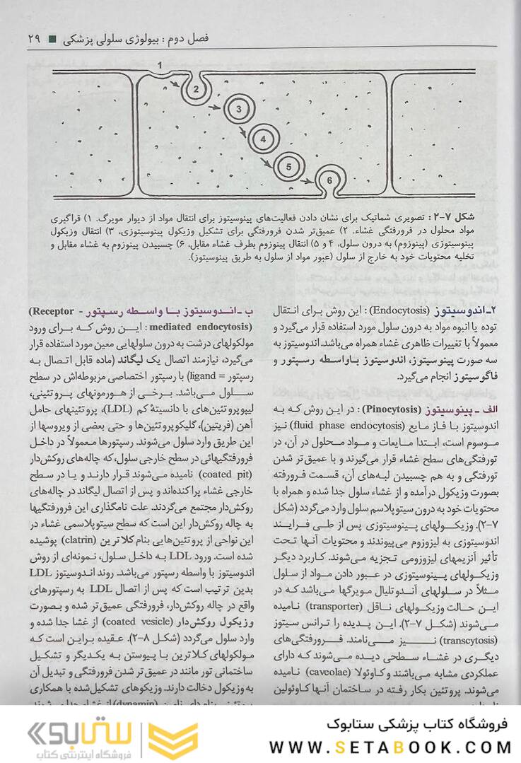 بافت شناسی سلیمانی راد