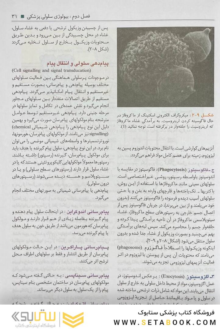 بافت شناسی سلیمانی راد