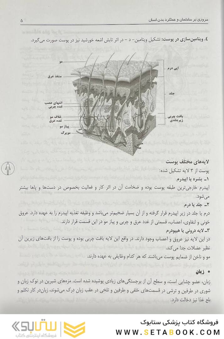 کمک های اولیه و فوریت های پزشکی در سوانح