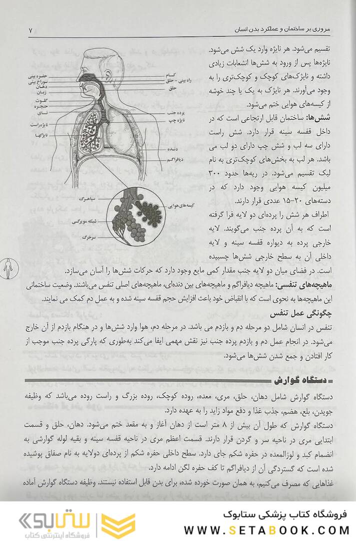 کمک های اولیه و فوریت های پزشکی در سوانح