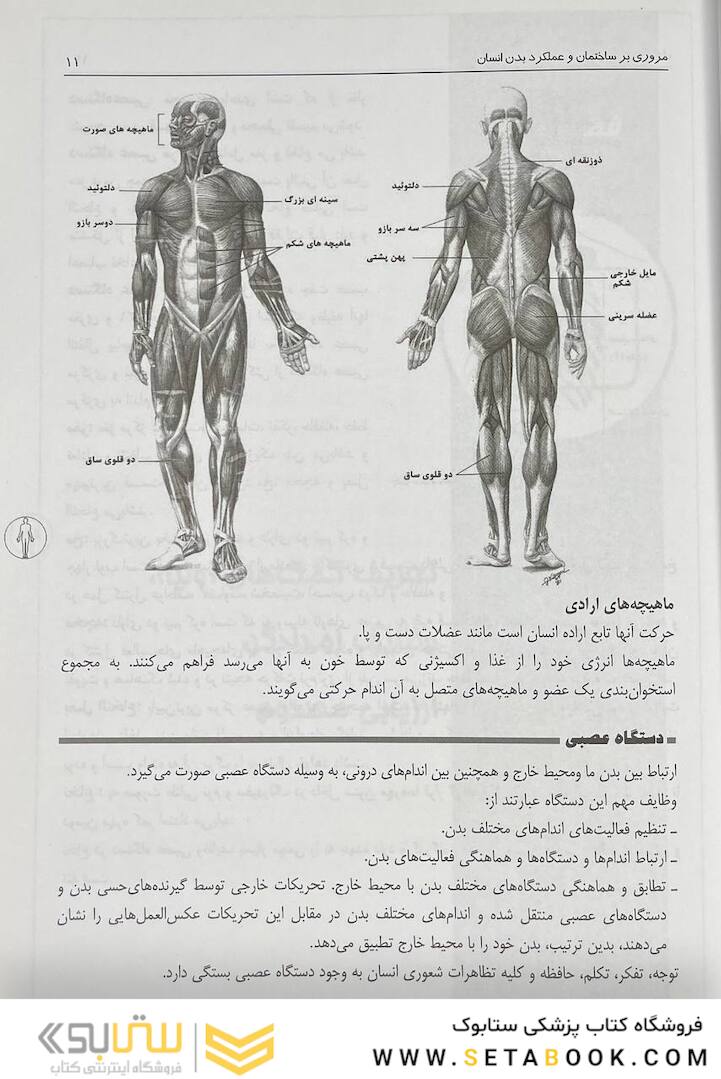 کمک های اولیه و فوریت های پزشکی در سوانح