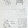 CMMD اصول بارداری و زایمان