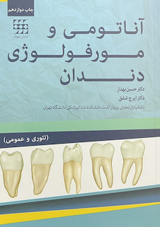 عکس آناتومی و مورفولوژی دندان