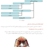 گام به گام با پروتز پارسیل