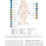 Medical Microbiology (میکروبیولوژی پزشکی)