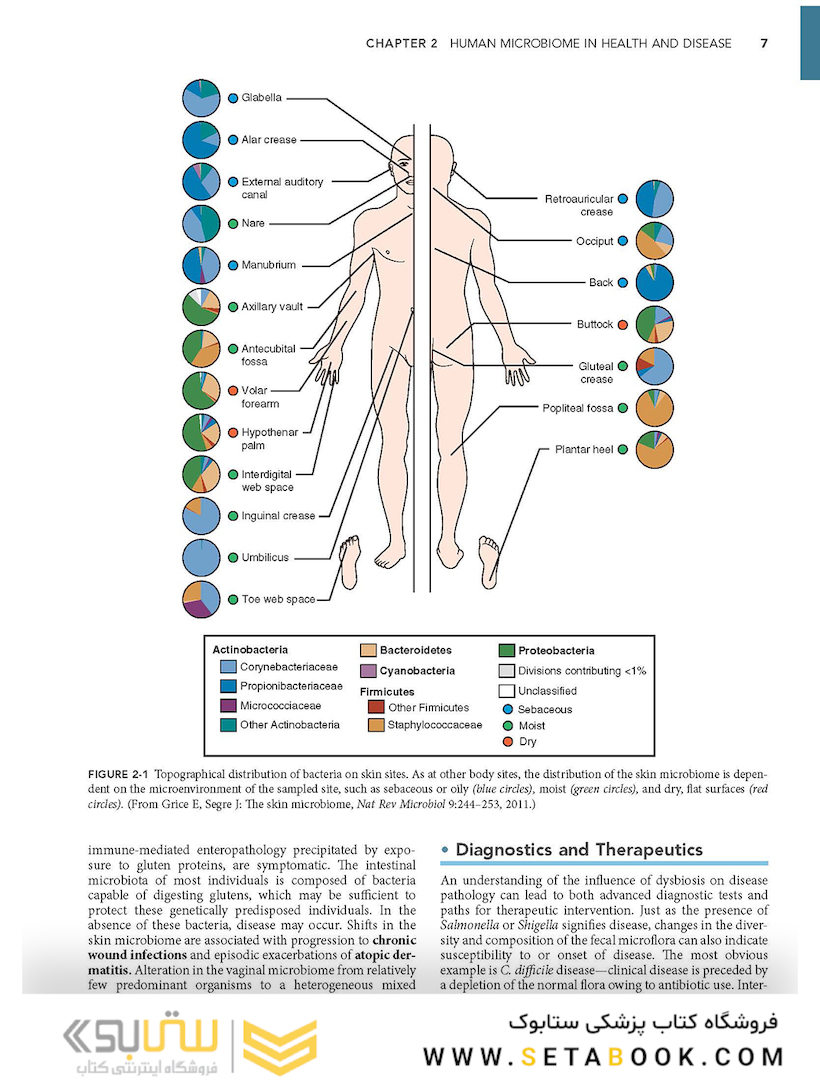 Medical Microbiology (میکروبیولوژی پزشکی)