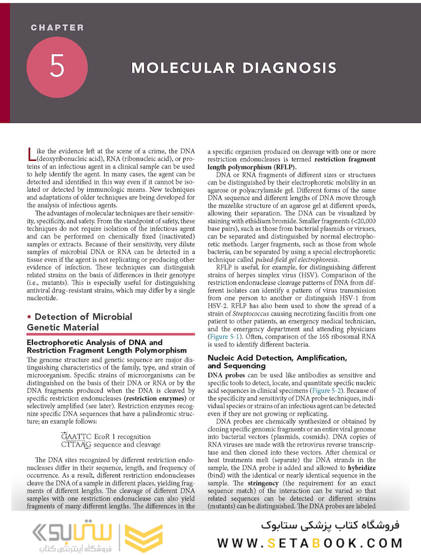 Medical Microbiology (میکروبیولوژی پزشکی)