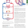 Guyton and Hall Textbook of Medical Physiology (Guyton Physiology) 13th Edition