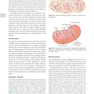 Guyton and Hall Textbook of Medical Physiology (Guyton Physiology) 13th Edition