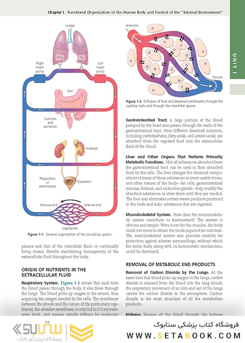 Guyton and Hall Textbook of Medical Physiology (Guyton Physiology) 13th Edition