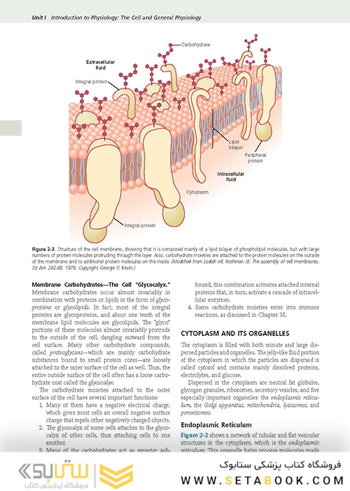Guyton and Hall Textbook of Medical Physiology (Guyton Physiology) 13th Edition