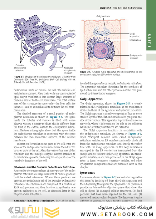 Guyton and Hall Textbook of Medical Physiology (Guyton Physiology) 13th Edition