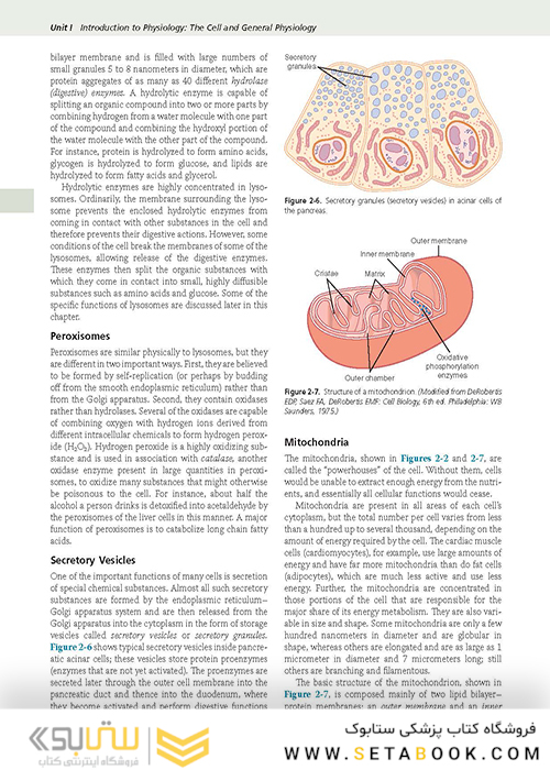 Guyton and Hall Textbook of Medical Physiology (Guyton Physiology) 13th Edition