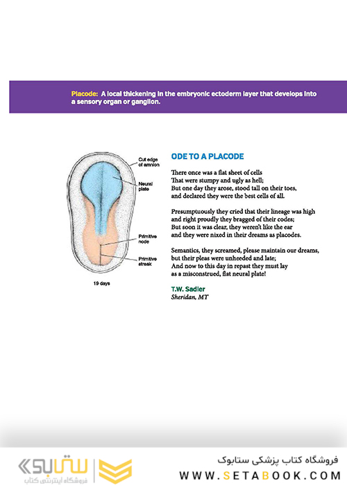 Langman's Medical Embryology 14th Edition
