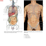 Anatomy: A Photographic Atlas