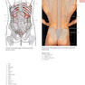 Anatomy: A Photographic Atlas