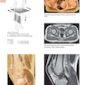 Anatomy: A Photographic Atlas