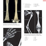 Anatomy: A Photographic Atlas