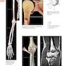 Anatomy: A Photographic Atlas