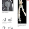 Anatomy: A Photographic Atlas