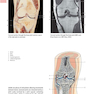 Anatomy: A Photographic Atlas