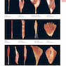 Anatomy: A Photographic Atlas