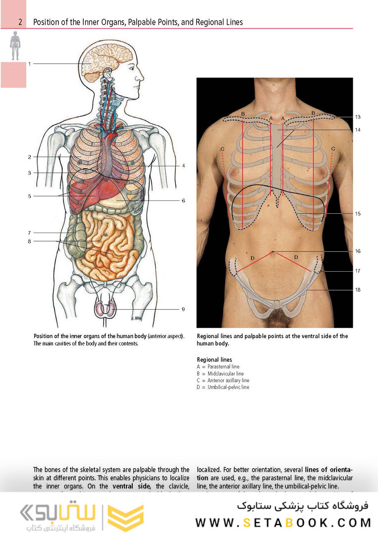 Anatomy: A Photographic Atlas