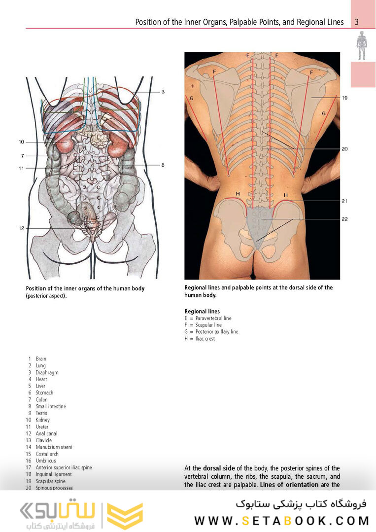 Anatomy: A Photographic Atlas