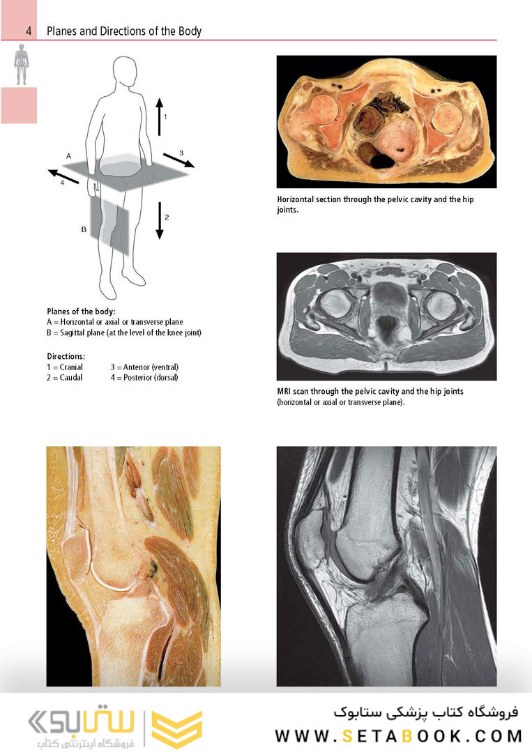 Anatomy: A Photographic Atlas