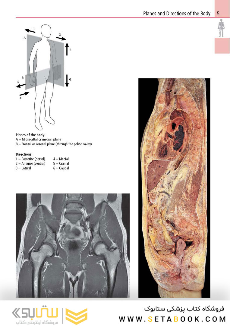Anatomy: A Photographic Atlas