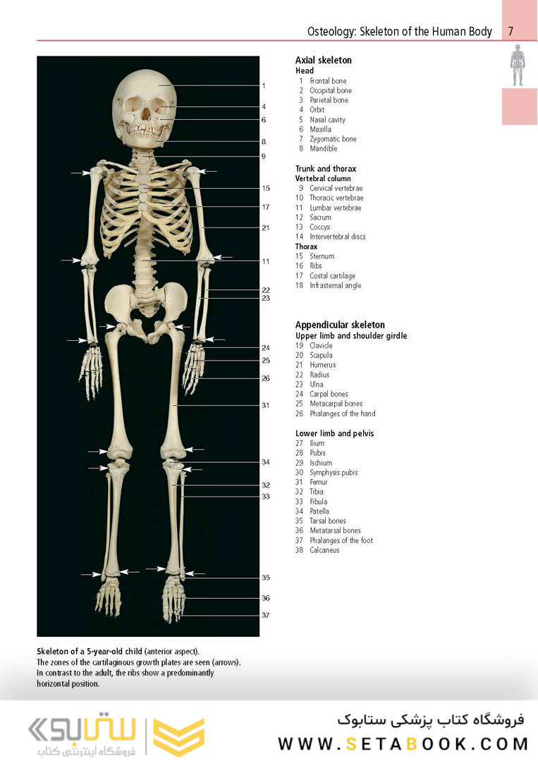 Anatomy: A Photographic Atlas