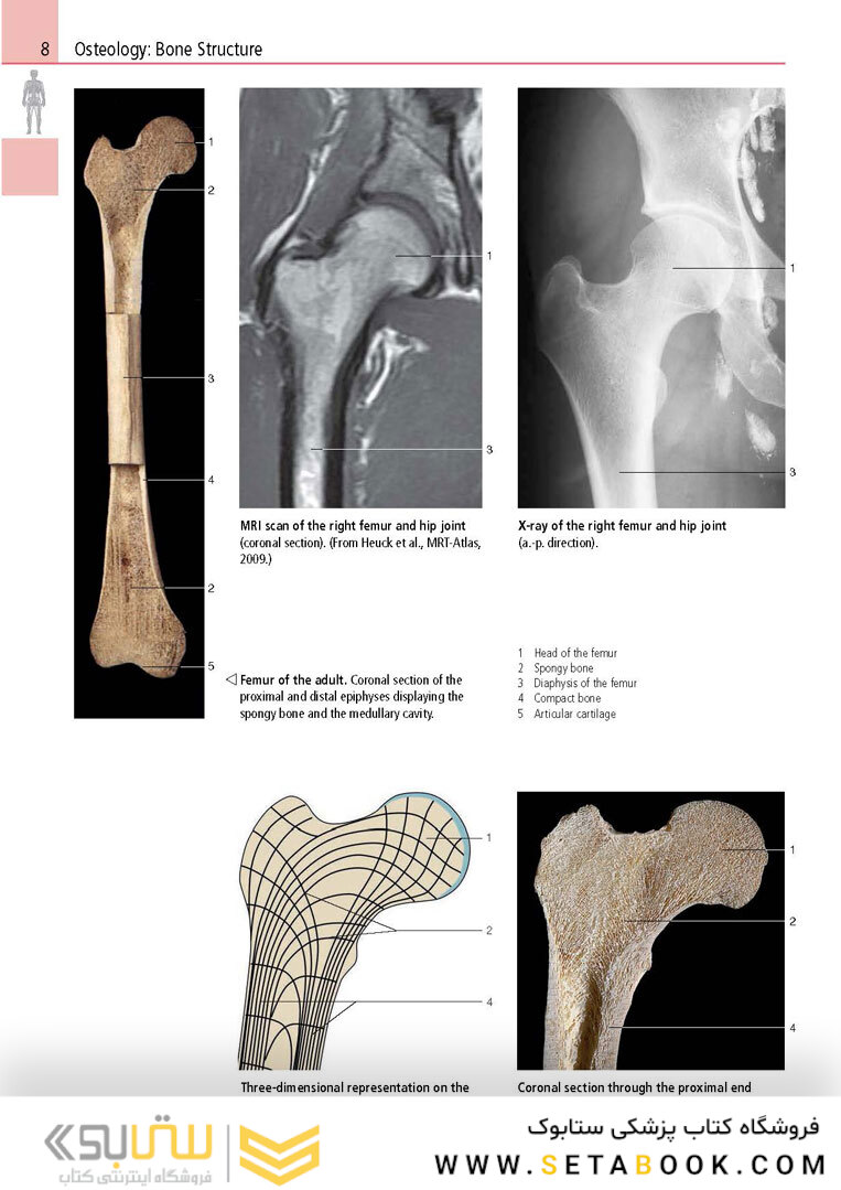 Anatomy: A Photographic Atlas
