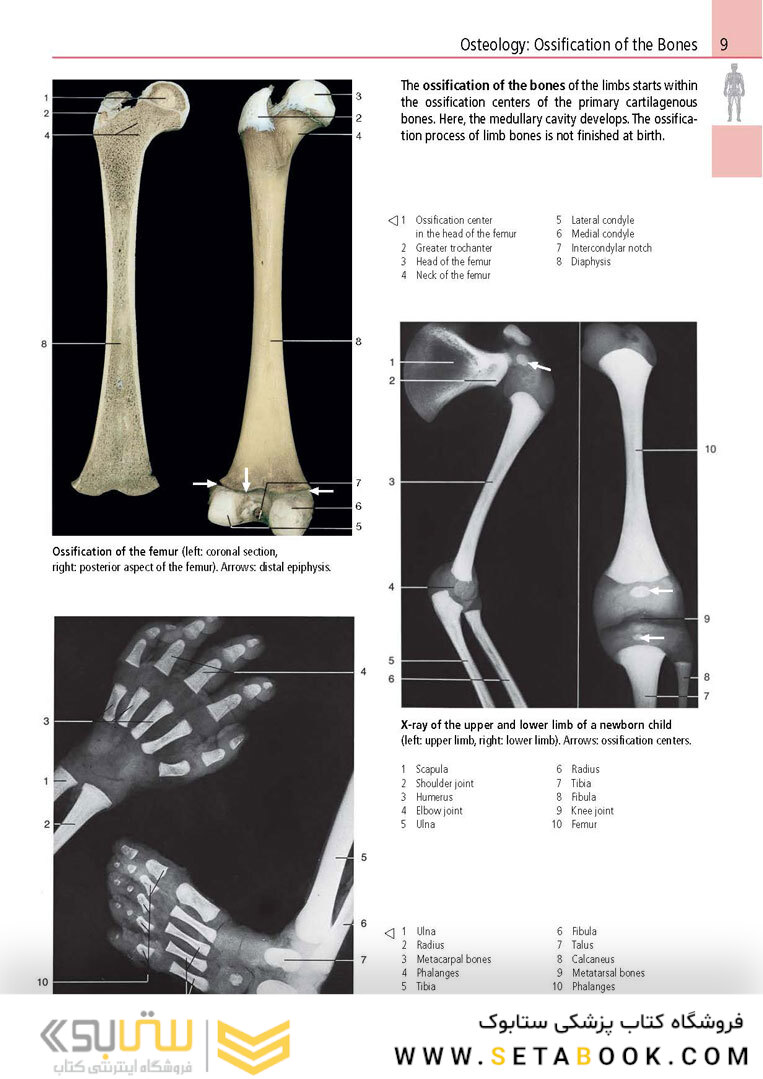 Anatomy: A Photographic Atlas