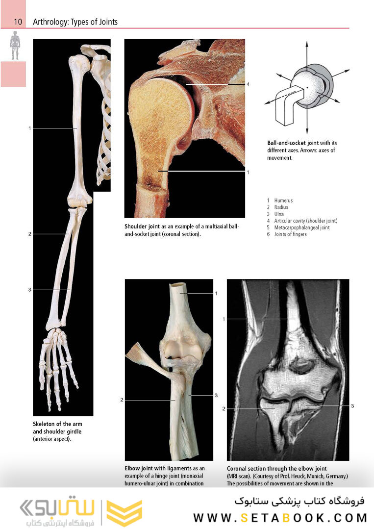 Anatomy: A Photographic Atlas