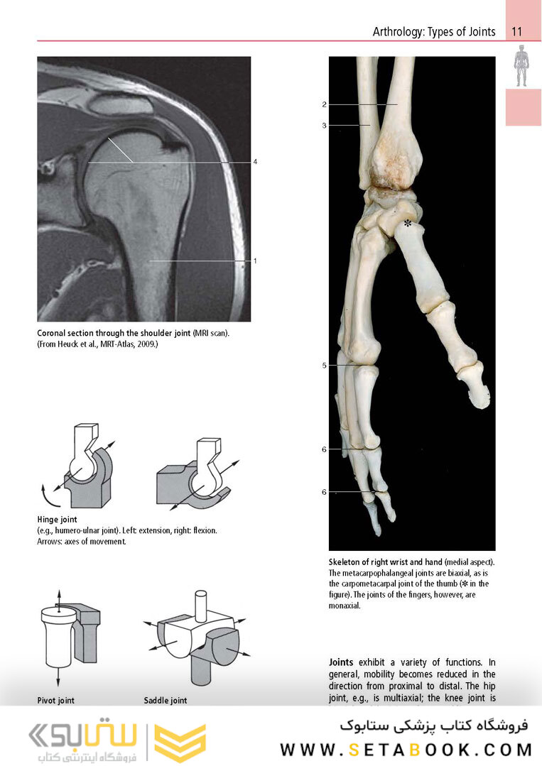 Anatomy: A Photographic Atlas