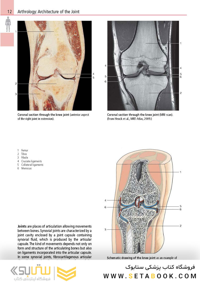 Anatomy: A Photographic Atlas