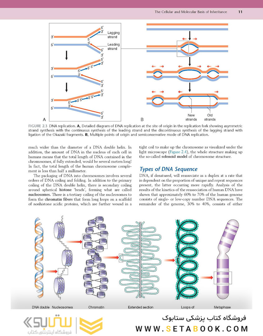 Emery's Elements of Medical Genetics