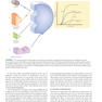 Basic and Clinical Pharmacology 14th Edition