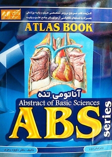 عکس ABS آناتومی تنه