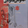 آناتومی عمومی بر اساس آناتومی گری