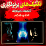 تکنیک های پرتونگاری تنه و شکم